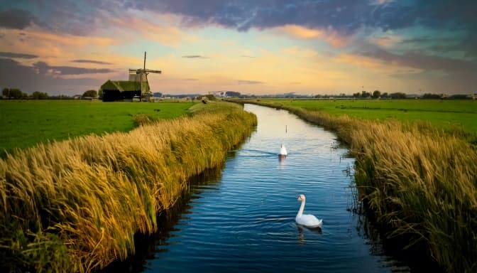 Dutch canal landscape with windmill in Reeuwijk